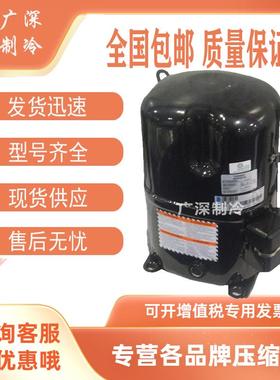 TAG2522Z TAG2511Z TAG2516Z/K原装进口法国泰康低温冷库压缩机