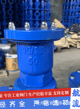 丝扣排气阀P11X快速放气阀AVRX微量丝扣排气阀球墨铸铁材质