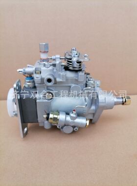 供应22100-1C201 221001C201油泵总成