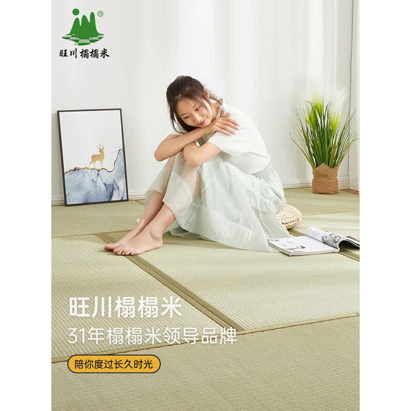 加热椰棕塌塌米席垫秋冬垫地台飘窗炕坐垫日式榻榻米垫子