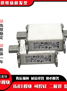 熔断器保险丝170M1558 170M1559 170M1560 170M1561 170M1562