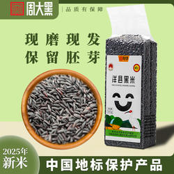 洋县黑米新米正宗周大黑黑米2025年米饭型全谷胚芽黑米真空包装