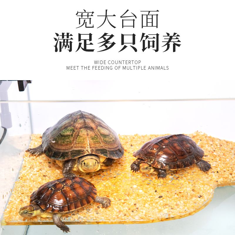 乌龟缸大型家用带晒台免换水超白玻璃专业养乌龟鱼龟混养生态缸