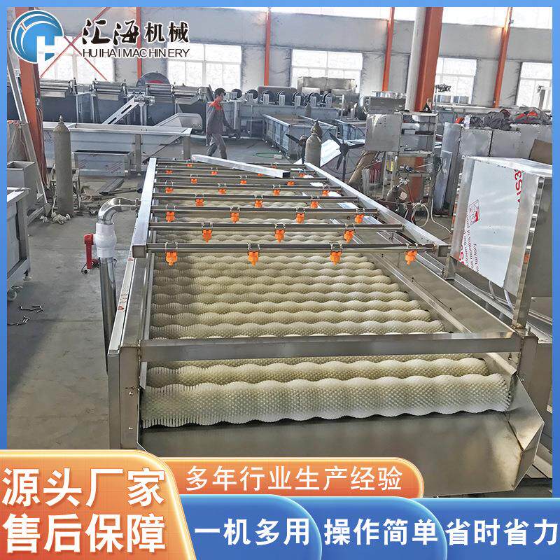 供应桔梗去皮机 莴苣去皮机设备 根茎类植物毛辊清洗机 厂家供应