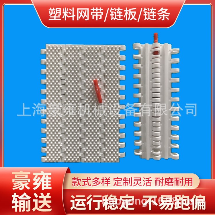 食品级尼龙链板输送带