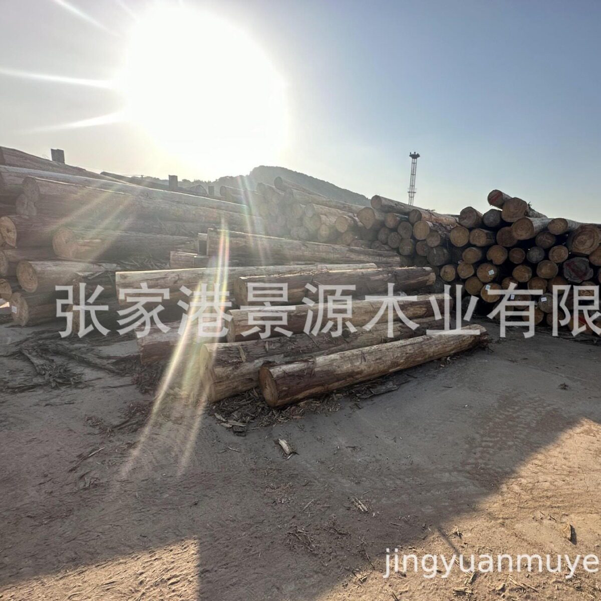 日本桧木 汗蒸房板材 寿司店 卧室装修 厂家常年提供货源