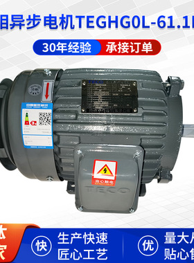 三相异步电机TEGHG0L-61.1KW三相异步电机灰色纺织机配件批发