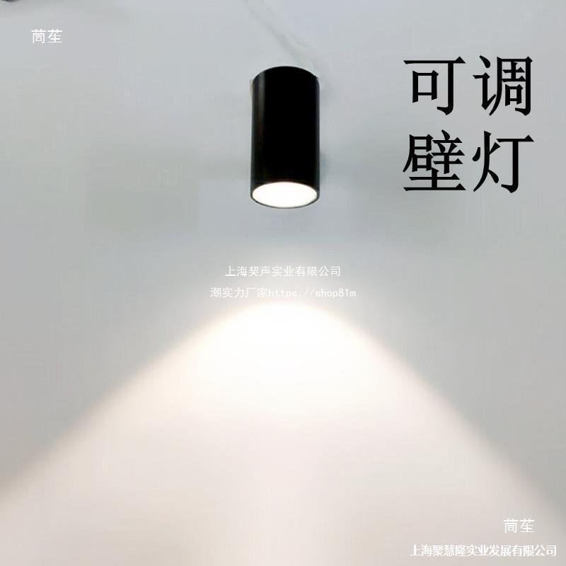 户外防水可调洗墙射灯
