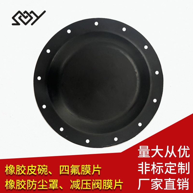 隔膜泵密封脉冲阀四氟橡胶垫片