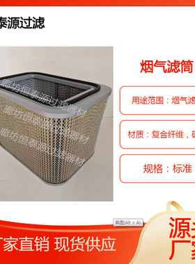 P031658-016-340烟气油雾滤筒 P031726筒式除尘器长方形气液滤芯