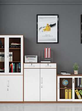 钢制办公铁皮文件柜办公室矮柜资料柜拆装薄边储物柜档案柜子白色