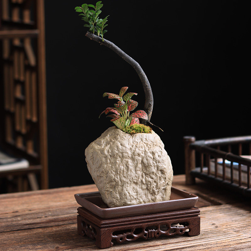 仿石头花a盆小叶紫檀盆栽微景观绿植盆景四季常青办公室书桌摆件,鲜花速递/花卉仿真/绿植园艺,花盆,淘宝优惠券,粉丝福利购,淘宝优惠卷