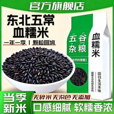 五常血糯米官方旗舰店大米新米东北包粽子专用糯米紫米一斤装正宗