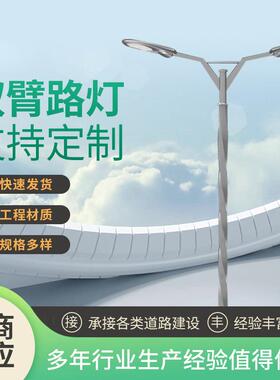 定制LED户外乡村市电路灯广场道路双臂路灯室外照明灯具厂家