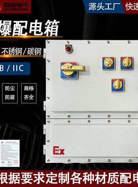 BXK系列电源开关ip65防护防水防腐铝合金控制检修箱防爆控制箱