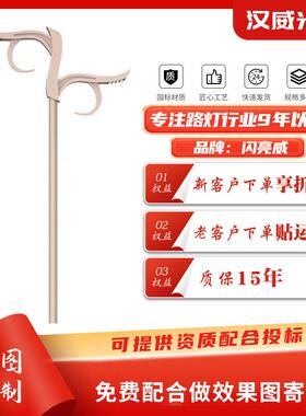 厂家市电路灯双臂路灯户外照明道路灯6米8米LED路灯
