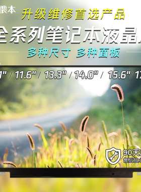 12.5寸 M125NWF4 B125HAN02.2 N125HCE-GN1 G61液晶屏显示屏