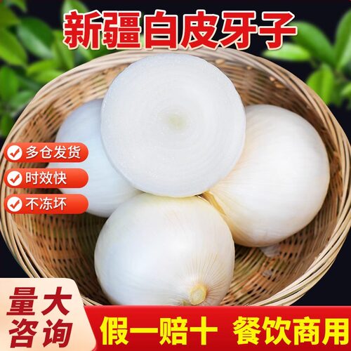 新疆特产白皮牙子白洋葱水果