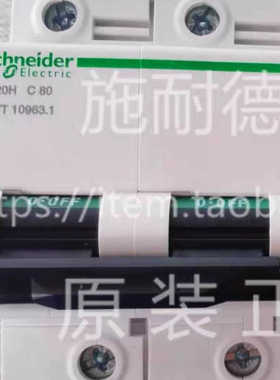 C120H 2P D125A A9N19829微型断路器