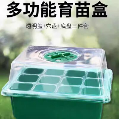 多肉叶插育苗盆三件套12孔育苗盘