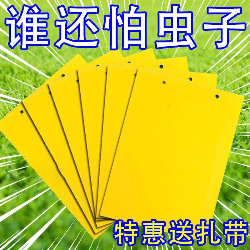 双面粘虫黄板诱虫板柑橘子树瓜果实蝇针蜂粘苍蝇贴粘虫板蓟粘鼠板