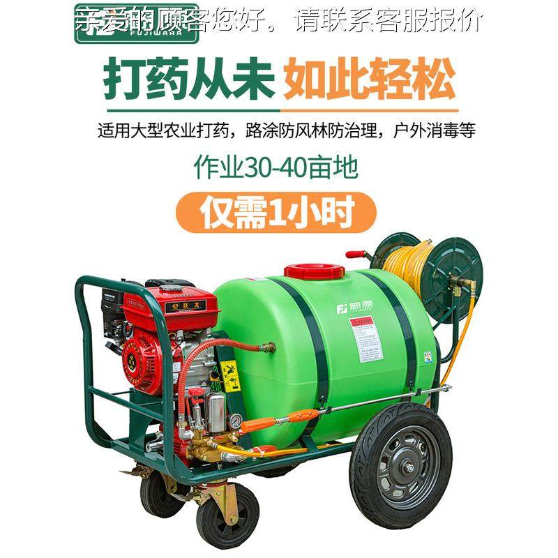 藤原汽打1药机NFI油果园农用高手压农药喷雾器消毒60L喷壶推式打,鲜花速递/花卉仿真/绿植园艺,园艺用品套装,淘宝优惠券,粉丝福利购,淘宝优惠卷