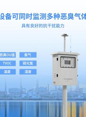 恶臭气体在监测系统恶园臭气象监测TH-EC08线仪家厂化工区臭味监