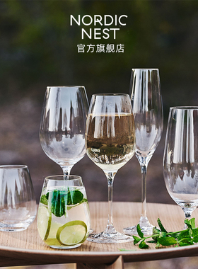 瑞典进口Scandi Living Karlevi红酒杯玻璃杯啤酒杯四件套家用