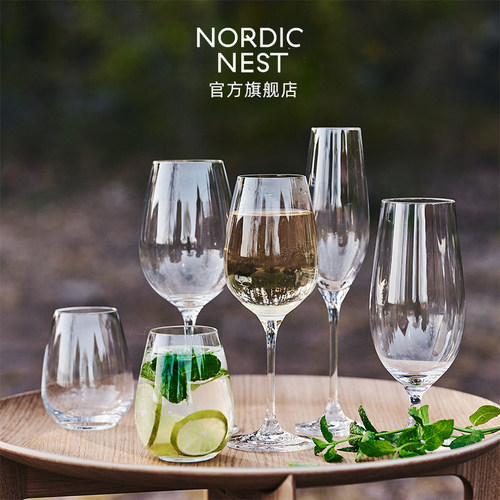 瑞典进口Scandi Living Karlevi红酒杯玻璃杯啤酒杯四件套家用