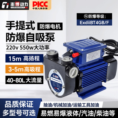 澎博动力 防爆抽油泵220V自吸抽油泵电动抽油泵大功率汽油柴油泵