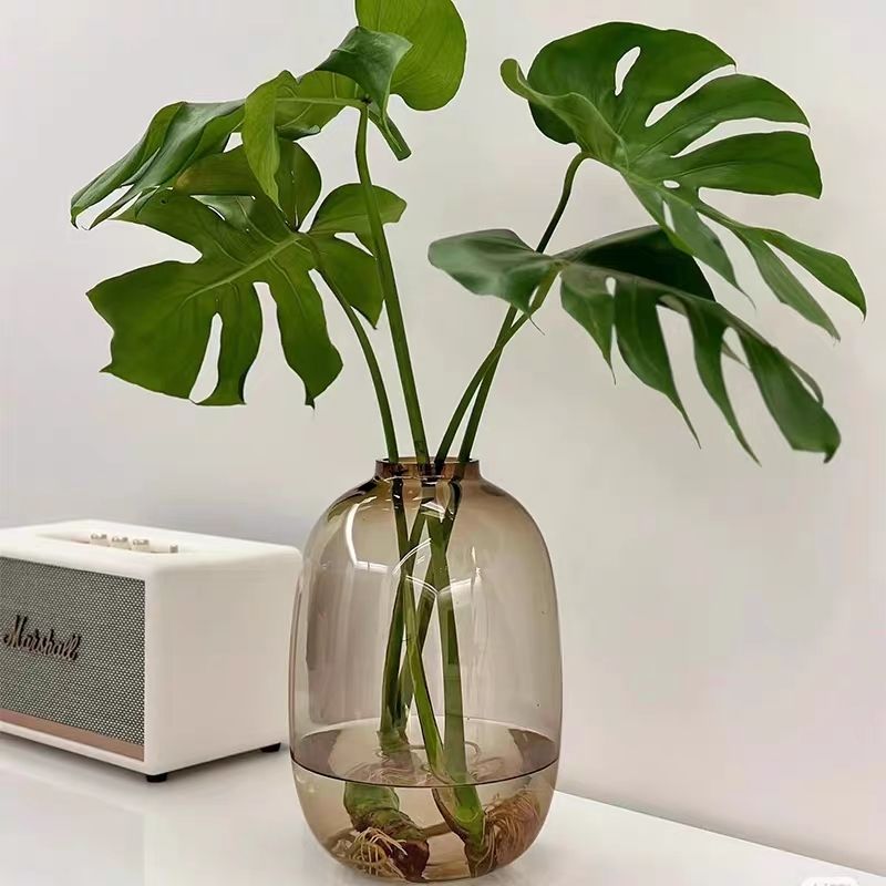 【龟背竹专用】简约轻奢玻璃花瓶透明插花水养雪柳吊钟客厅摆件大