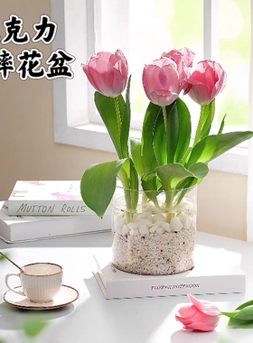 【双12活动】方缸亚克力花瓶水培郁金香绿萝插花瓶鱼缸装饰摆件大