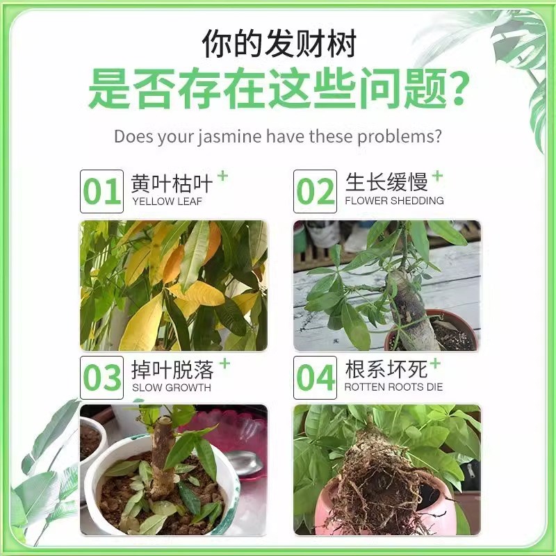 发财树催芽剂植物生根发芽营养液黄叶G枯叶烂根专用药爆芽素活力