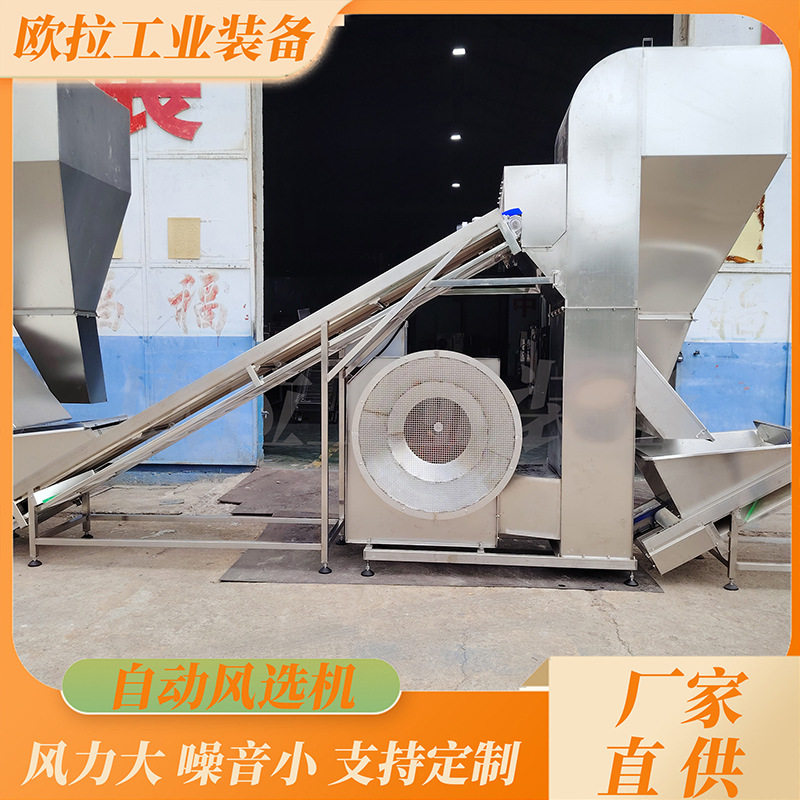商用不锈钢毛豆清洗筛选流水线
