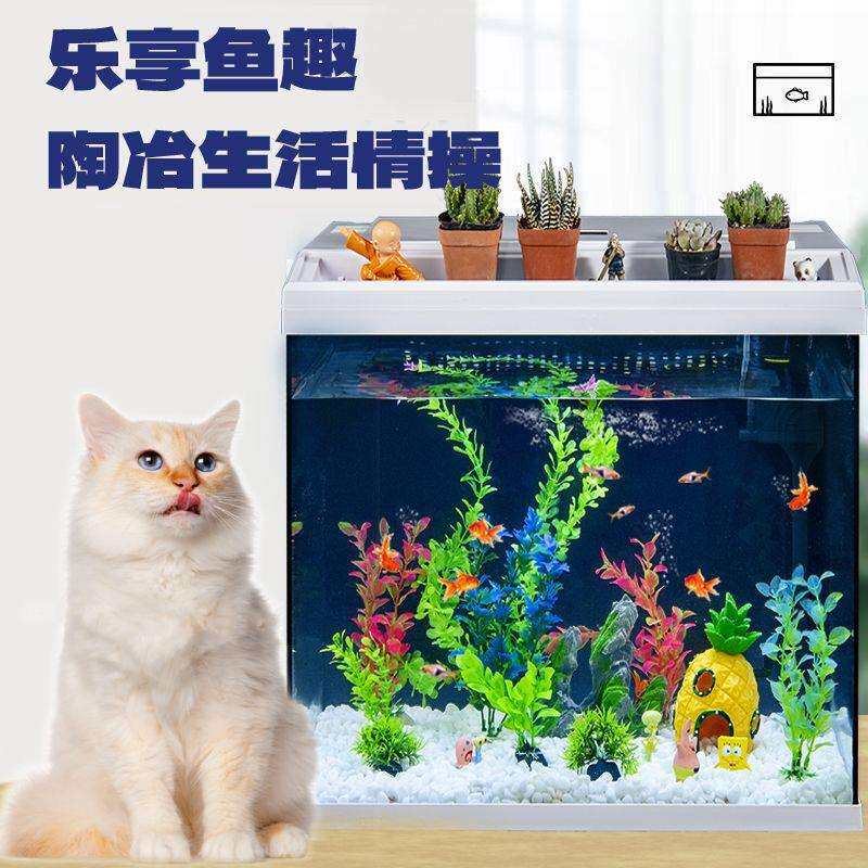 鱼缸水族箱客厅小型自循环家用懒人免换水生态桌面玻璃金鱼缸包邮