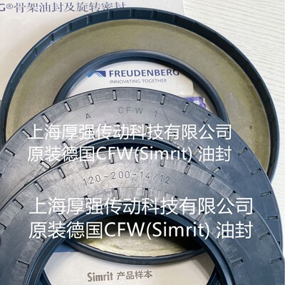 德国科德宝油封CFW1BAU6SLX27
