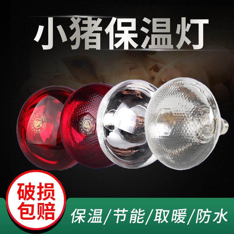 养殖保温灯仔猪保温灯鸡鸭鹅取暖节能防水小鸡保温灯兽用保暖灯泡