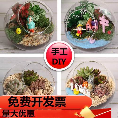 暖场活动苔藓微景观diy材料包生态瓶手工多肉绿植盆栽礼品套装