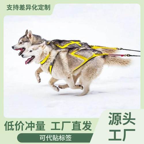狗狗户外雪橇胸背带狗狗负重训练牵引带哈士奇萨摩滑雪板车牵引绳