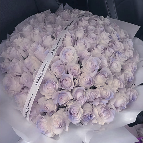 闪购同城紫玫瑰鲜花花束全国送