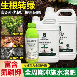 柑橘动力生根壮苗水溶肥促根果树冲施肥农用果树肥强力生根剂肥料