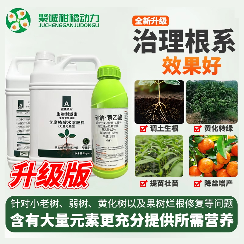 柑橘动力生根壮苗水溶肥果树生物刺激素促根生根含腐殖酸水溶肥料