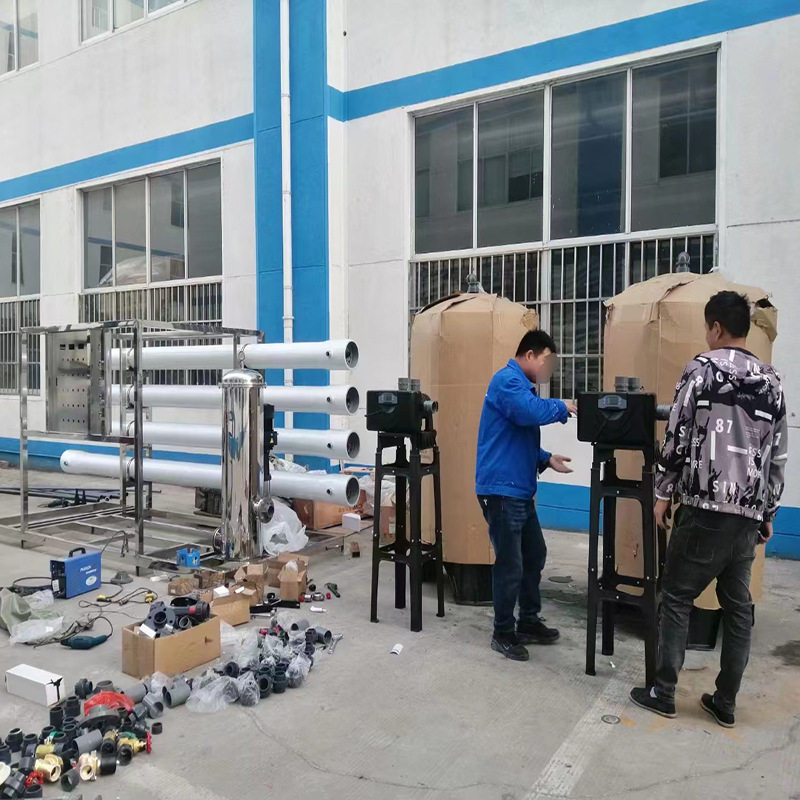 2T净化水反渗透水处理设备 软化水阻垢剂加药系统水处理净水设备