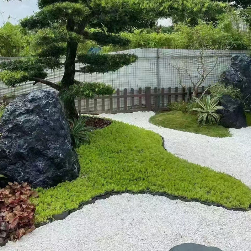 厂家批发白石子白色石头园艺石头白色鹅卵石白米石砾石