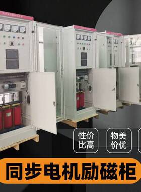 球磨机900KW10KV同步电动机励磁柜补偿装置襄阳忠东