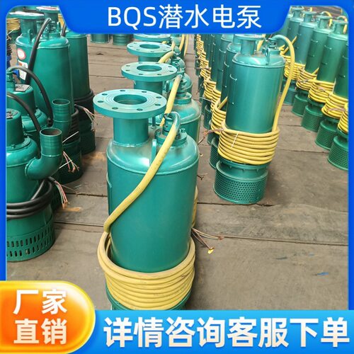 BQS隔爆型潜水排沙电泵煤矿防爆排污大扬程380v660v/1140v潜水泵