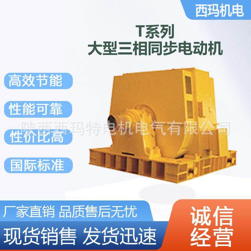 西安电机T1000-36/26001000W10V高压交流三相同步电动机