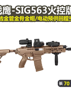 战鹰sig563火控版西格绍尔真人cs冲锋玩具枪三角洲wargame发射器