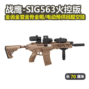 战鹰sig563火控版西格绍尔真人cs冲锋玩具枪三角洲wargame发射器