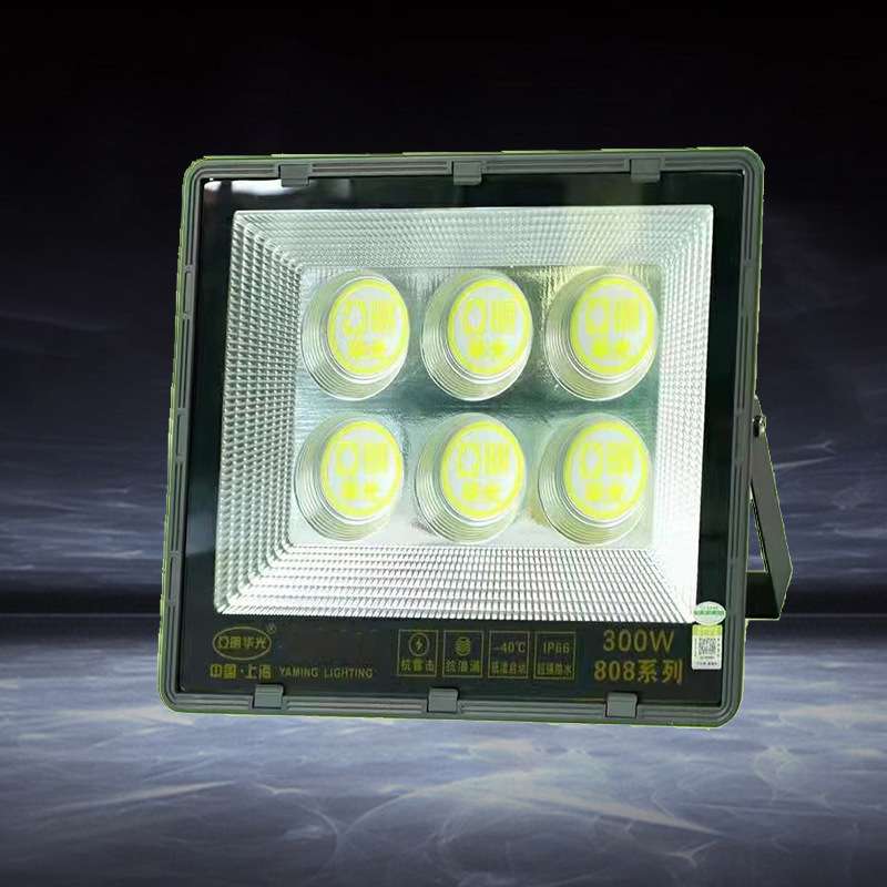 led投光灯高亮室内庭院灯新农村防水超亮户外路灯300w800w1000w50